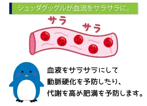 シュッダグッグルが血流をサラサラに。