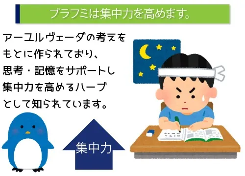 ブラフミは集中力を高めます。