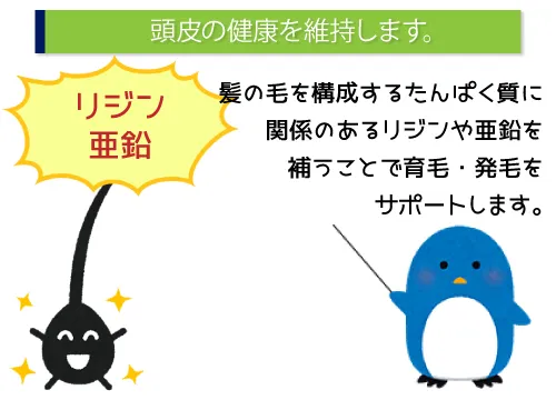 頭皮の健康を維持します。