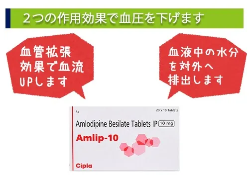 2つの作用効果で血圧を下げます