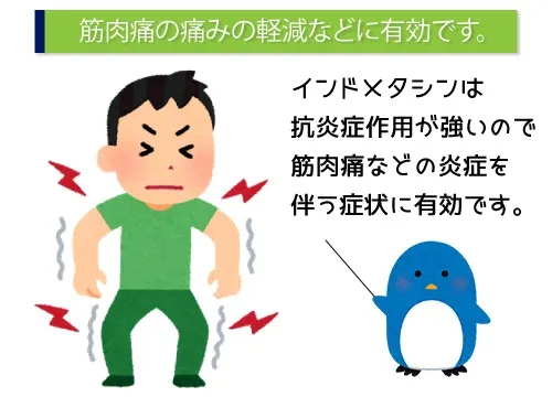 筋肉痛の痛みの軽減などに有効です。
