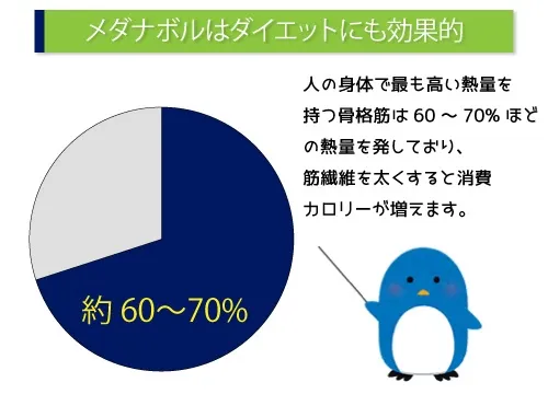 メダナボルはダイエットにも効果的