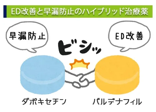 ED改善と早漏防止のハイブリッド治療薬