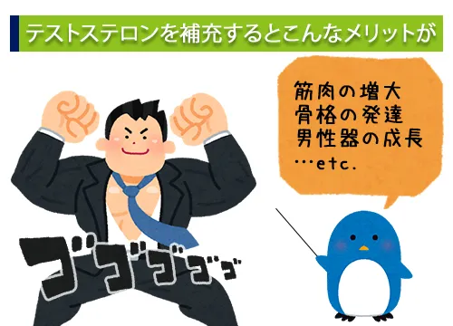 テストステロンを補充するとこんなメリットが