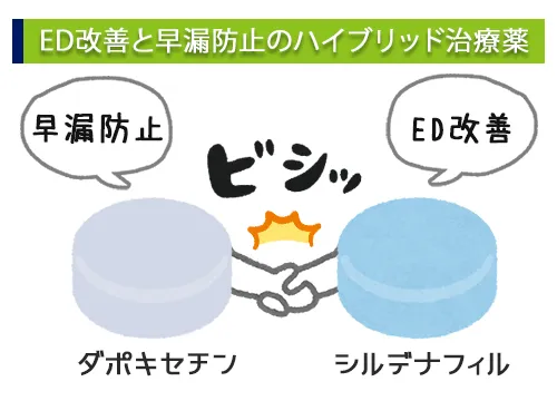 ED防止と早漏防止のハイブリッド治療薬