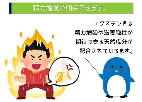 精力増強が期待できます